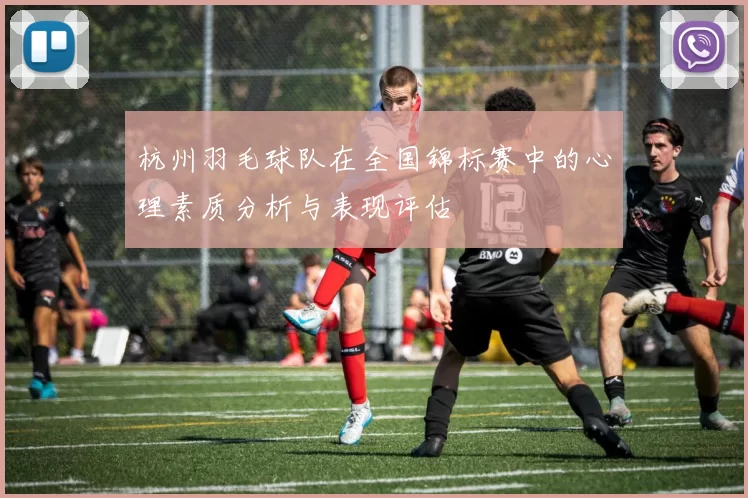 杭州羽毛球队在全国锦标赛中的心理素质分析与表现评估