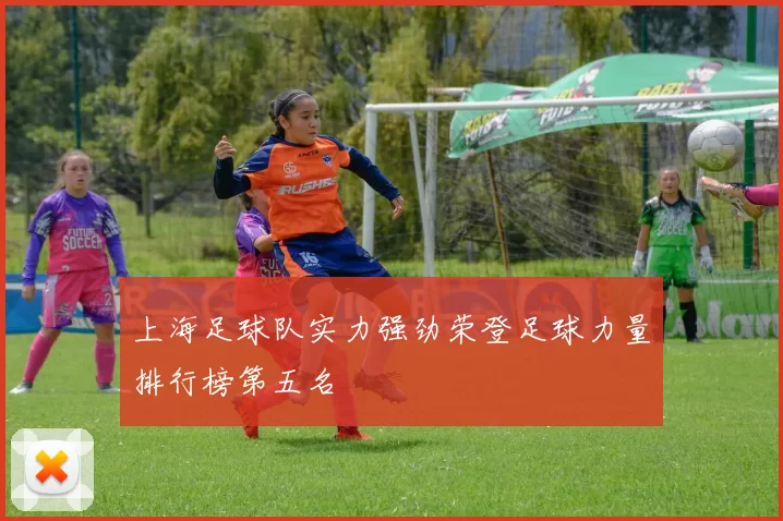 上海足球队实力强劲荣登足球力量排行榜第五名