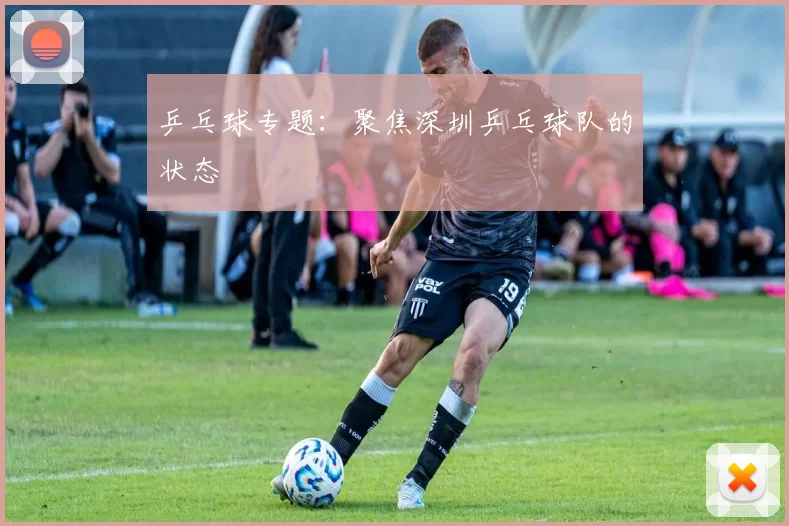 乒乓球专题：聚焦深圳乒乓球队的状态